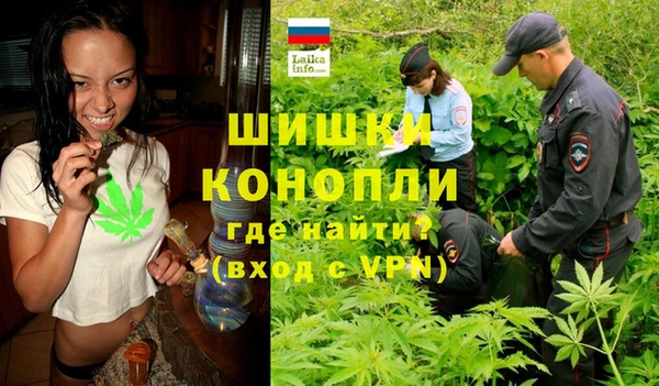 молекула духа Алексин