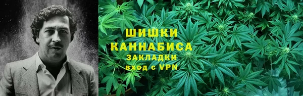 молекула духа Алексин