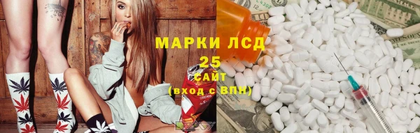 ГАЛЛЮЦИНОГЕННЫЕ ГРИБЫ Алзамай