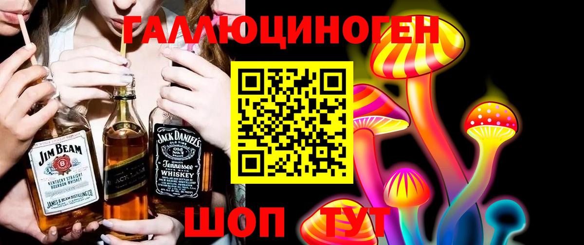 Курск  Псилоцибиновые грибы мухоморы  Вход с VPN 